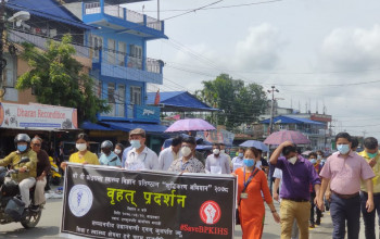 बिपी प्रतिष्ठानका उपकुलपतिले ७ दिनभित्र प्राध्यापक पुष्टि हुने कागजात पेस नगरे कारबाही गर्न सिफारिस (प्रतिवेदनसहित)